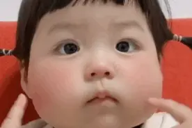今日份表情包来啦图片