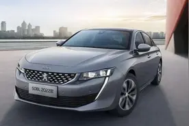 法系车通病解析：标致雪铁龙图片