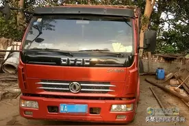五年跑了16万多公里，祝师傅凭借一辆多利卡在生猪运输领域火起来图片