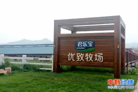 从蒙牛“单飞”后一直铺垫 君乐宝上市时机成熟了吗？图片
