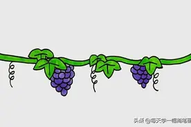 每天学一幅简笔画--葡萄树简笔画简单画法步骤图片教程图片