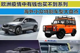 欧洲疫情中有钱也买不到系列 海外小众特别车型大盘点图片