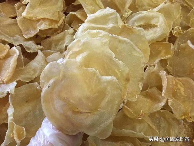 鱼胶的价钱 2026年鱼胶多少钱