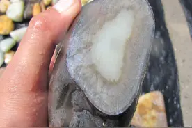 和田玉赌石：石包玉，石皮居然这么厚，赌石风险大图片