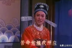黄梅戏《血泪恩仇录》全本，杨俊、张辉主演，年轻时的唱腔太好了图片
