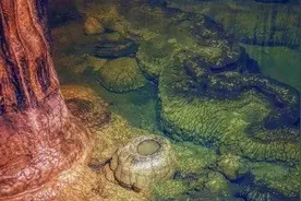 湖南一山洞发现千年“真龙”，洞内龙雾缭绕，专家看后十分惊讶图片