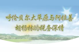 呼伦贝尔大草原与阿拉善胡杨林的税务深情图片