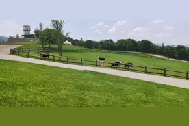 协议离婚一定要冷静30天？我来教你一个跳过冷静期快速离婚的办法图片