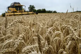 法媒：2021年对法国粮农将是幸福的一年图片