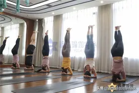 参加专业瑜伽教练培训班，可以学到瑜伽精髓，还能有一技傍身图片