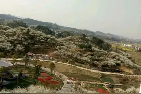 要想健康，先会吃饭图片