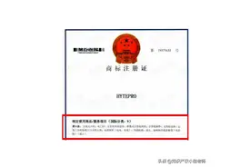 商标注册分类目录45类行业/类别！新手值得收藏图片