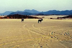 一斤大米换一斤沙子，日本人的“善意”，为何被周恩来断然拒绝？图片