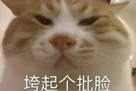 表情包更新～被问知错了吗，表面认错，心里想着下次还敢，是你吗图片