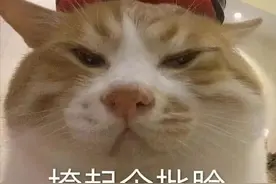 表情包更新～被问知错了吗，表面认错，心里想着下次还敢，是你吗图片