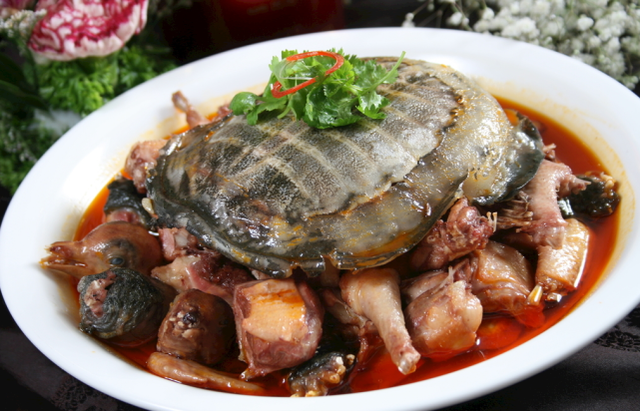 涨知识，鱼之瑰秘