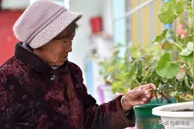 寻找“卓玛”——西藏女性背后的70年图片