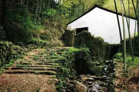上青古道，曲径通幽图片