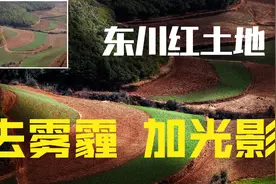 去雾霾加光影，一张污了吧唧的照片，也能变得靓丽动人图片