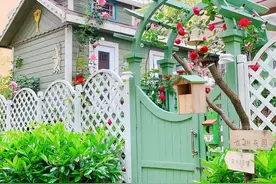 3年前，他买了一栋带花园的小洋房，为她打造了一个童话般的花园图片