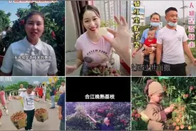合江晚熟荔枝在抖音上火了！短视频大赛倒计时17天，等你来战！图片