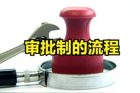 今天的投资项目百科词条是：审批制的流程图片