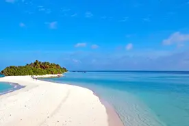 老年人学手机（022）微信消息免打扰图片