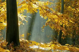 史上最全组合飞花令：季＋天气（三）秋＋天气图片