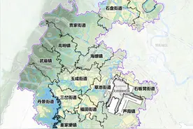 成都东部新区“民生·规划”答复图片