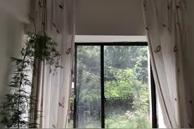 能“防盗”的智能窗帘，出门在外，再也不怕花草晒不到太阳图片