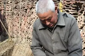 乡情琐忆‖儿时的棉槐条子图片