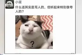 神回复：什么话其实是骂人的，但听起来特别像夸人的？图片