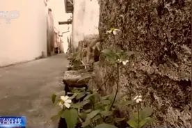 工友一次做客，拐走孩子19年！曾写来匿名信：我太喜欢这小孩，你们不用找了…图片