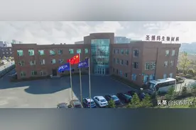 产品之窗——长春圣博玛生物材料有限公司——“可吸收接骨螺钉”“可吸收接骨板”图片