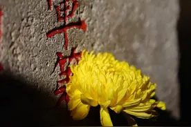 那些你不知道的，电影幕后重大失误图片