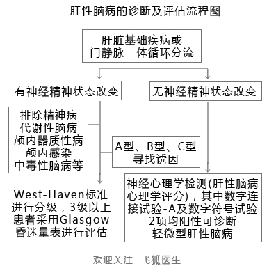 什么是肝性脑病？早识别早治疗是关键，8预防管理措施改善预后