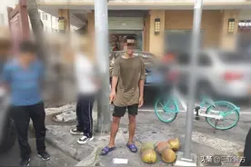 大家瞧一瞧看一看 刚摘椰子只要五块 方其淦中队破获一起盗窃案图片