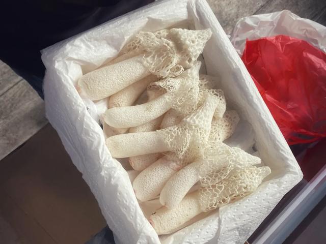 吃蘑菇起鸡皮疙瘩 吃蘑菇起鸡皮疙瘩