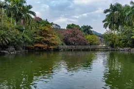 乾唐诗选：秋日携妻南宁游园图片