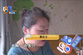 家里苍蝇成群飞，“外环境”需要改善图片