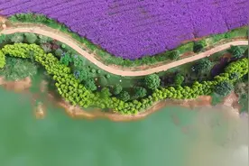 云南18地拟获“中国天然氧吧”称号！快来吸氧吧图片