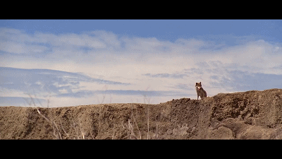 鸡皮疙瘩no.4在线观看