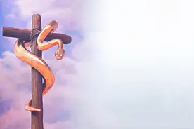 泰国“蛇王”传奇人生：被咬400多次，多次在停尸间死而复生图片