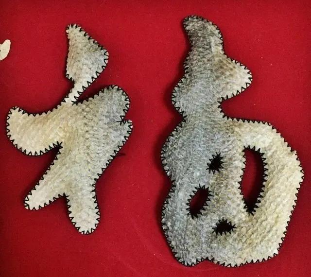 如何泡发干鱼皮 2026年怎么泡发干鱼皮