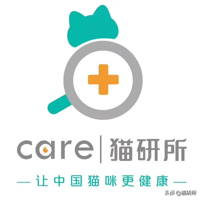 消灭99.99%的跳蚤，养宠家庭超实用灭蚤秘籍来了