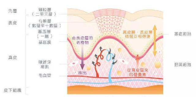 暗沉鸡皮肤多少岁就没有了