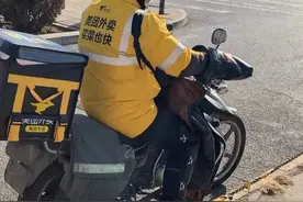 最美奋斗者｜外卖骑手：万家灯火前，独行送餐人图片