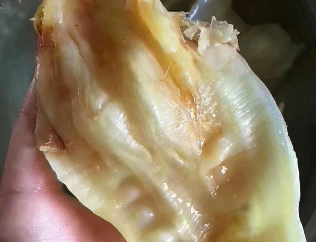 花胶羊肉煲汤 花胶羊肉汤的做法大全