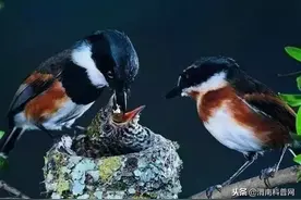 由下雨时看到的这一幕想到的事图片
