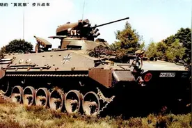 在斯大林格勒包围圈里，德军的“黄鼠狼”特种战车和火炮配置分析图片